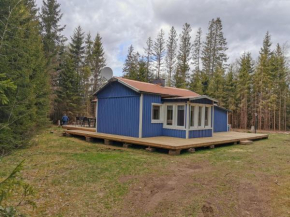 Hyltenäs am Kalvsee